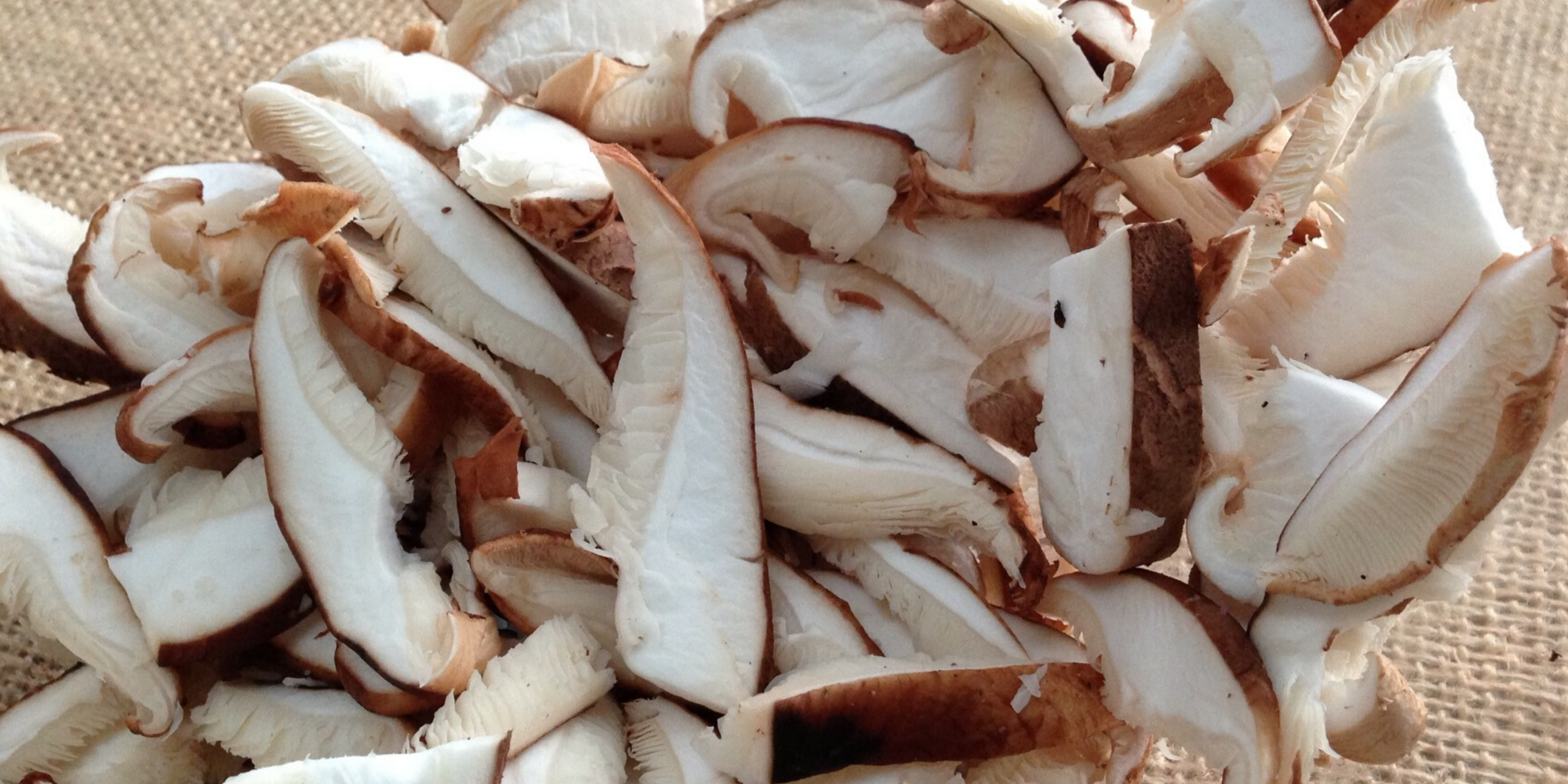 GW-802 Green Onion Cutter with Shiitake Mushrooms