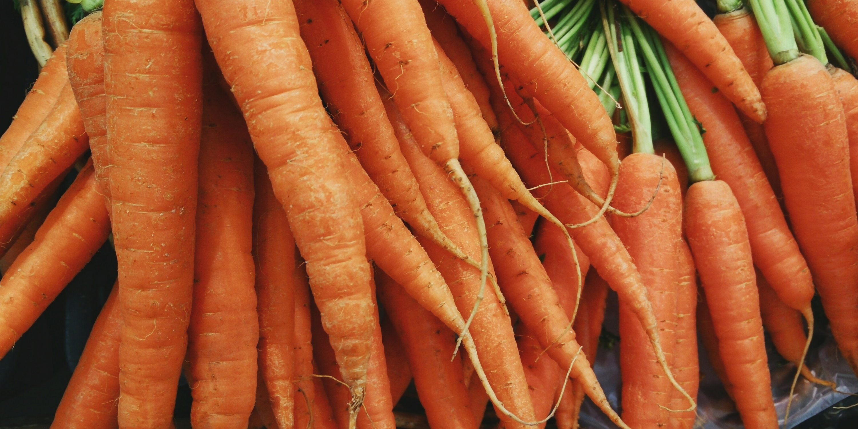 Carrot Banner with several growths.