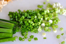 Green Onion stock photo.